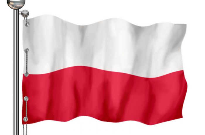 Год Польши в России