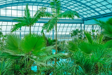 400 пальм в аквапарке Парк Польши