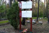 Восстановление советского военного кладбища в Польше в 2020 году